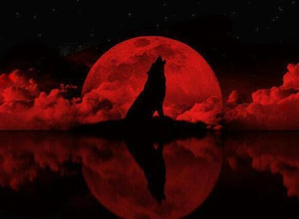 Image result for blood moon