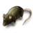 Giant Rat