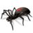 Giant Spider