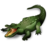 Alligator