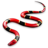 Coral Snake