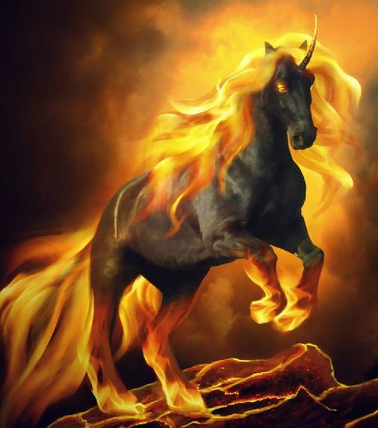 Fire Horse | Magical horses, Fire horse, Fantasy horses