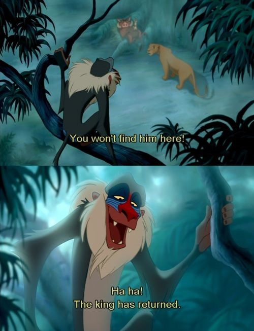 Rafiki | Disney love, Lion king, Theme park